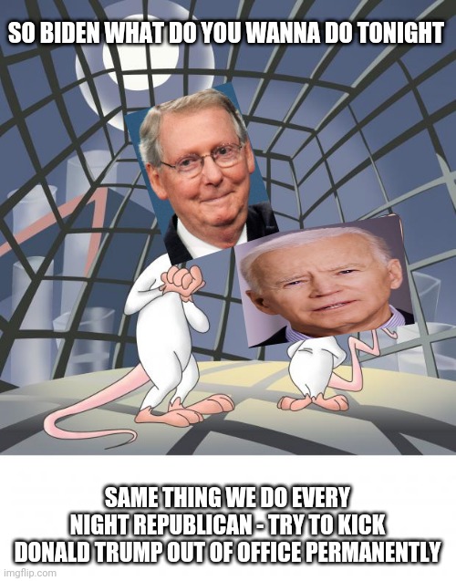 Biden & the Republican are plotting to remove the orange embarrassment to our country that is Donald Trump from office 4ever | SO BIDEN WHAT DO YOU WANNA DO TONIGHT; SAME THING WE DO EVERY NIGHT REPUBLICAN - TRY TO KICK DONALD TRUMP OUT OF OFFICE PERMANENTLY | image tagged in pinky and the brain,politics,joe biden,donald trump,republican,dank memes | made w/ Imgflip meme maker