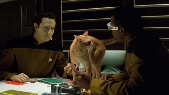 Spot From Star Trek:TNG Blank Meme Template