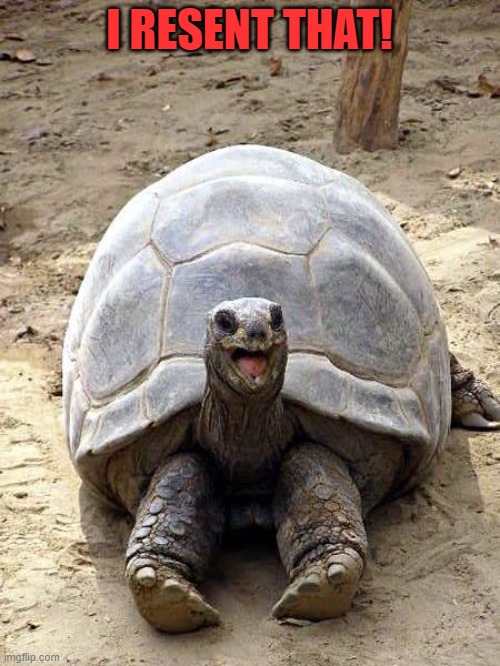 Smiling happy excited tortoise | I RESENT THAT! | image tagged in smiling happy excited tortoise | made w/ Imgflip meme maker