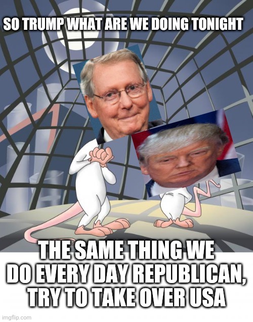 Donald Trump and the Republican are plotting the same thing they plot every night - to take over USA | SO TRUMP WHAT ARE WE DOING TONIGHT; THE SAME THING WE DO EVERY DAY REPUBLICAN, TRY TO TAKE OVER USA | image tagged in pinky and the brain,dank memes,politics,memes,republican,donald trump | made w/ Imgflip meme maker