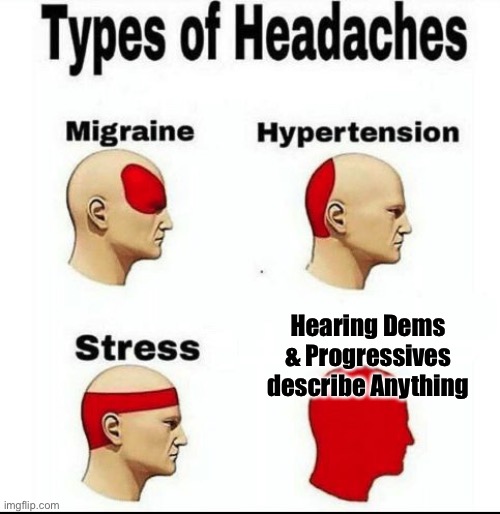 Types of Headaches meme | Hearing Dems & Progressives describe Anything | image tagged in types of headaches meme | made w/ Imgflip meme maker