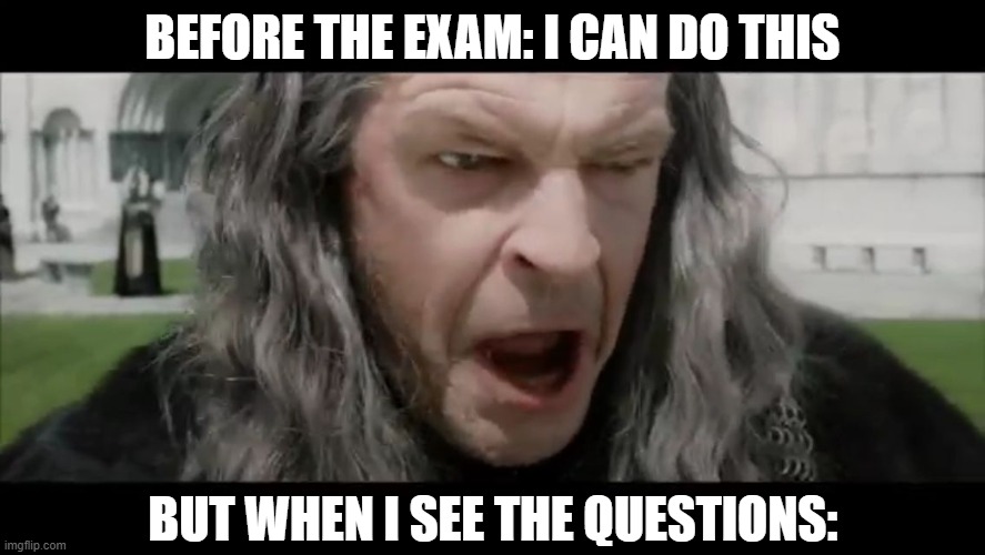 when i see the exam | BEFORE THE EXAM: I CAN DO THIS; BUT WHEN I SEE THE QUESTIONS: | image tagged in denethor flee for your lives | made w/ Imgflip meme maker
