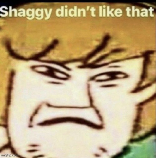 shaggy didn't like that | image tagged in shaggy didn't like that | made w/ Imgflip meme maker