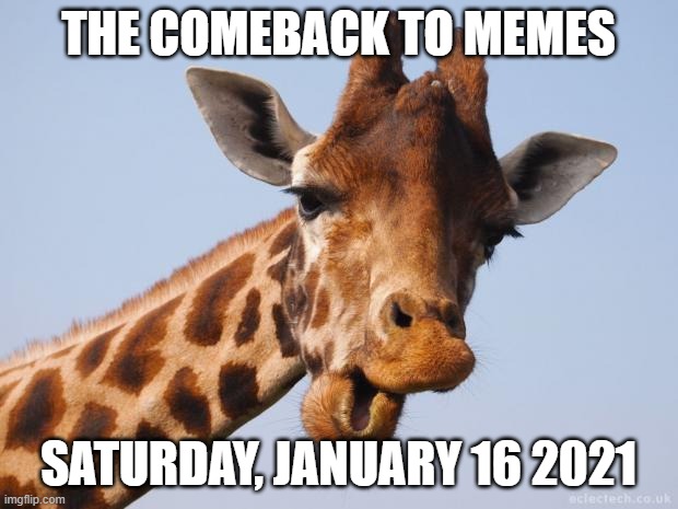 Comeback Giraffe | THE COMEBACK TO MEMES; SATURDAY, JANUARY 16 2021 | image tagged in comeback giraffe | made w/ Imgflip meme maker