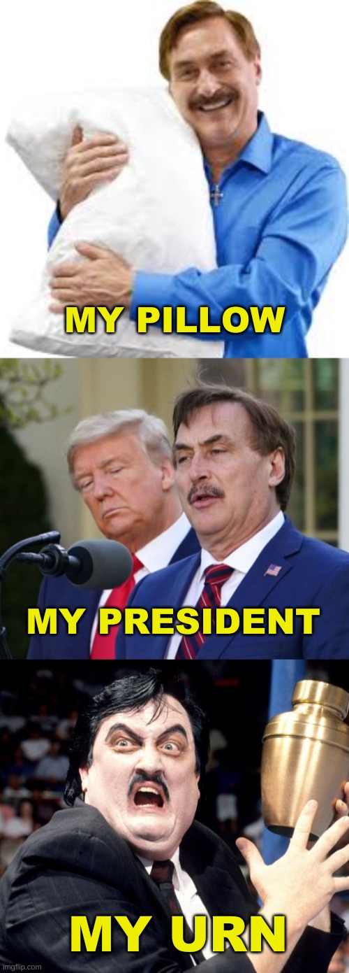 my pillow advises martial law | MY PILLOW; MY PRESIDENT; MY URN | image tagged in my pillow guy,donald trump approves,civil war,paul bearer,capitol hill,martial law | made w/ Imgflip meme maker