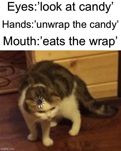 Loading cat | Eyes:’look at candy’; Hands:’unwrap the candy’; Mouth:’eats the wrap’ | image tagged in loading cat,candy,memes,funny,cats,stop reading the tags | made w/ Imgflip meme maker