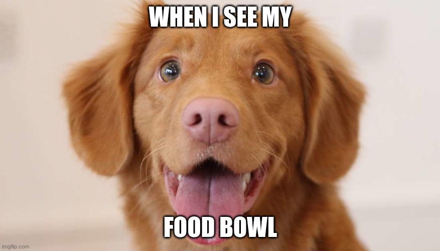 ya | WHEN I SEE MY; FOOD BOWL | image tagged in popeyes | made w/ Imgflip meme maker