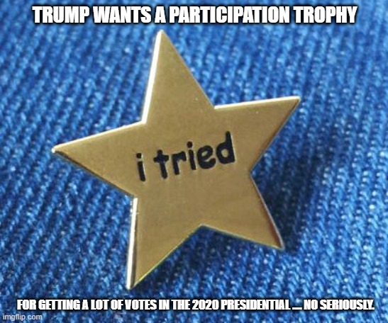 Participation Award | TRUMP WANTS A PARTICIPATION TROPHY; FOR GETTING A LOT OF VOTES IN THE 2020 PRESIDENTIAL .... NO SERIOUSLY. | image tagged in participation award | made w/ Imgflip meme maker