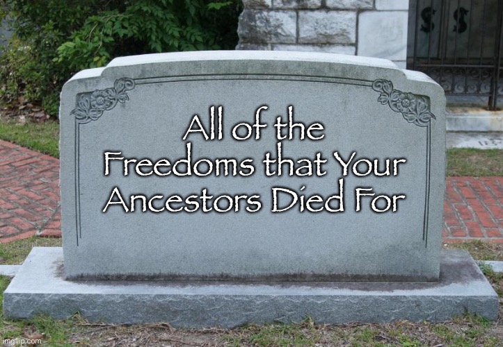 Gravestone | All of the Freedoms that Your Ancestors Died For | image tagged in gravestone | made w/ Imgflip meme maker