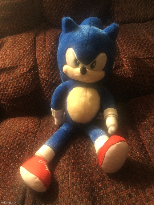 A Sonic movie plush I got in an arcade last year before the virus | made w/ Imgflip meme maker