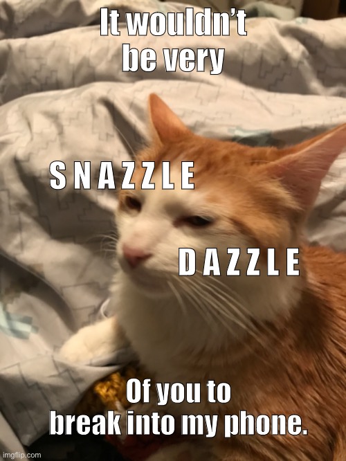 Make this your lock screen | It wouldn’t be very; S N A Z Z L E; D A Z Z L E; Of you to break into my phone. | image tagged in cat,lock screen,phone | made w/ Imgflip meme maker