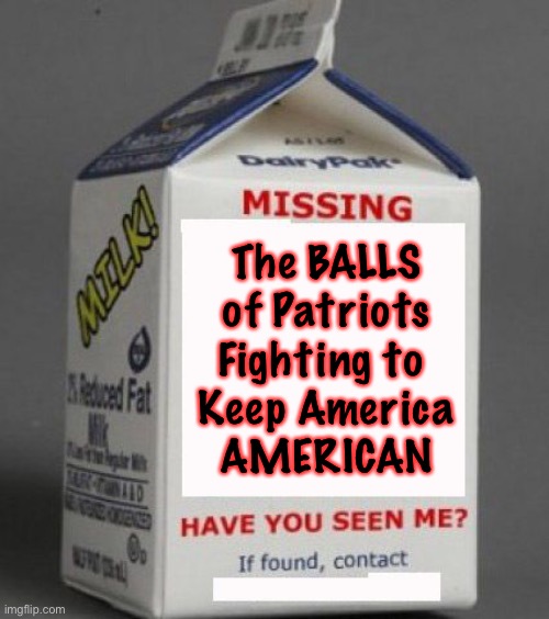 Milk carton | The BALLS of Patriots Fighting to 
Keep America
AMERICAN | image tagged in milk carton | made w/ Imgflip meme maker