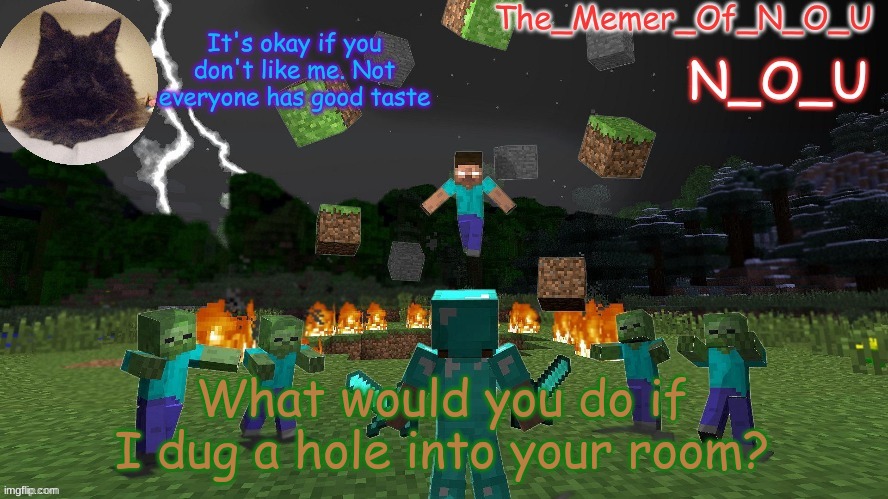 N_O_U | What would you do if I dug a hole into your room? | image tagged in n_o_u | made w/ Imgflip meme maker