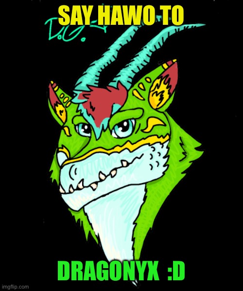 Dragonyx da dragon wolf furry :D | SAY HAWO TO; DRAGONYX  :D | image tagged in the furry fandom | made w/ Imgflip meme maker