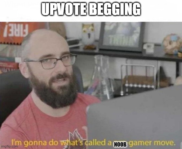 Pro Gamer move | UPVOTE BEGGING; NOOB | image tagged in pro gamer move | made w/ Imgflip meme maker