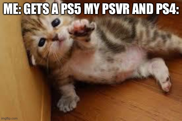 Sad Kitten Goodbye | ME: GETS A PS5 MY PSVR AND PS4: | image tagged in sad kitten goodbye | made w/ Imgflip meme maker