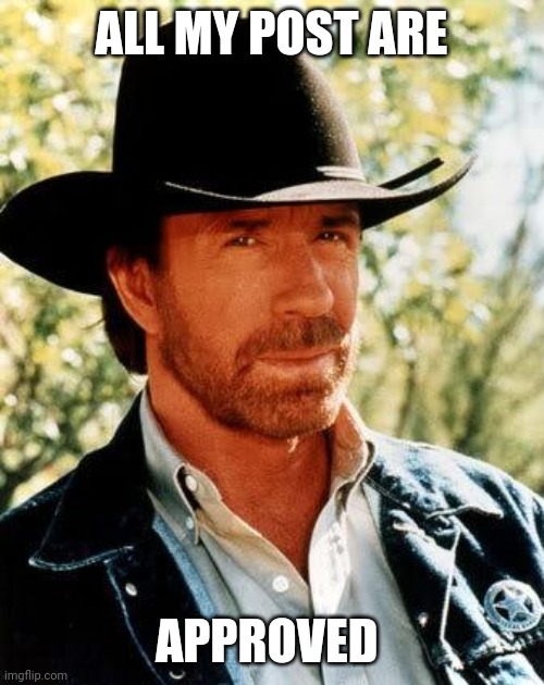 Chuck Norris | ALL MY POST ARE; APPROVED | image tagged in memes,chuck norris | made w/ Imgflip meme maker