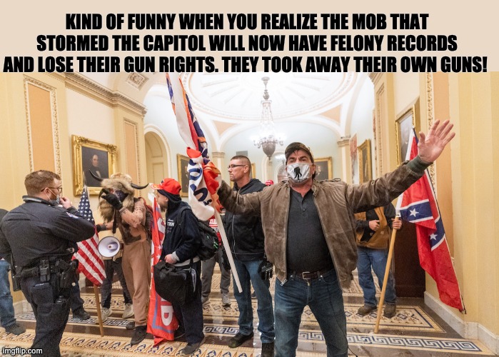KIND OF FUNNY WHEN YOU REALIZE THE MOB THAT STORMED THE CAPITOL WILL NOW HAVE FELONY RECORDS AND LOSE THEIR GUN RIGHTS. THEY TOOK AWAY THEIR OWN GUNS! | image tagged in capitol hill | made w/ Imgflip meme maker