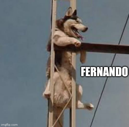 Breeeeh | FERNANDO | image tagged in vibing stuck doggo | made w/ Imgflip meme maker