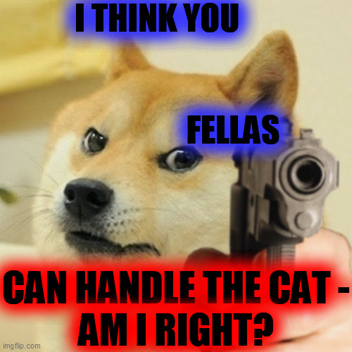 Doge holding a gun | I THINK YOU                                                                   FELLAS CAN HANDLE THE CAT -
AM I RIGHT? | image tagged in doge holding a gun | made w/ Imgflip meme maker