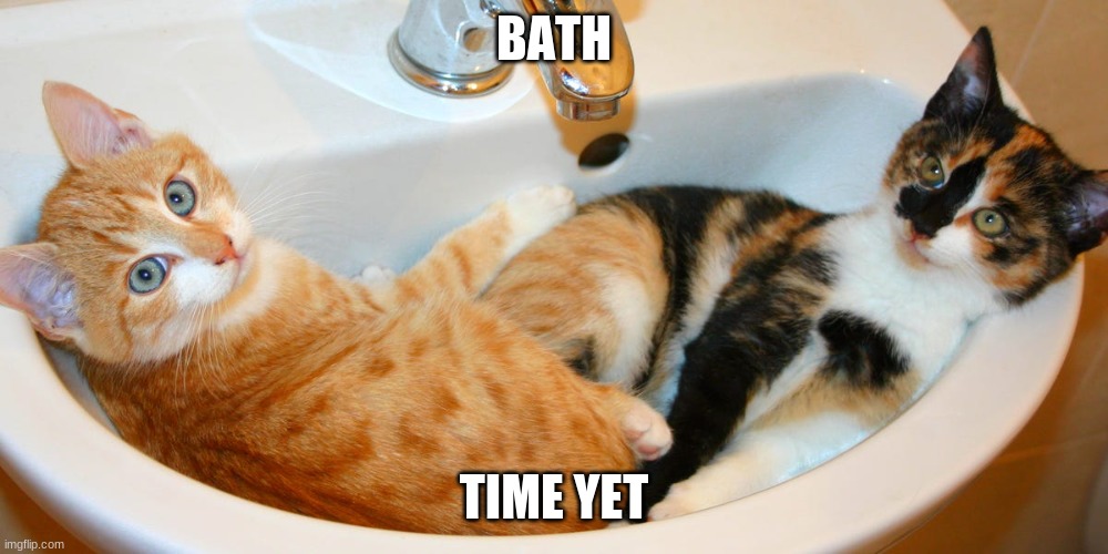 ecs | BATH; TIME YET | image tagged in water | made w/ Imgflip meme maker
