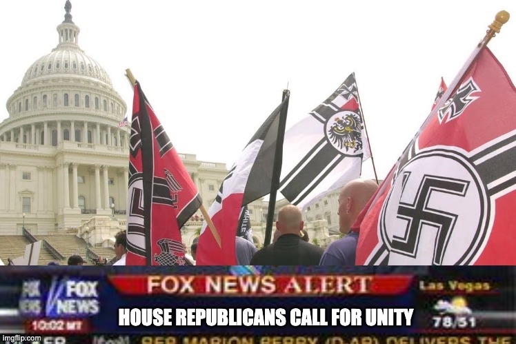 Nazis neo-nazi flags parade Capitol Washington DC | HOUSE REPUBLICANS CALL FOR UNITY | image tagged in gop | made w/ Imgflip meme maker