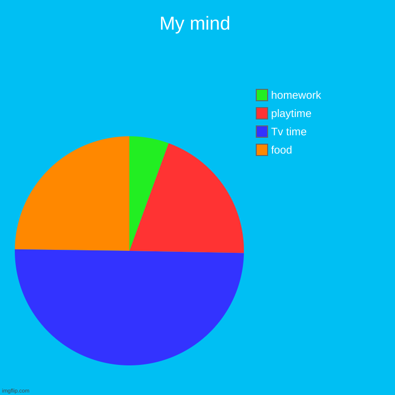 my mind | My mind | food, Tv time, playtime, homework | image tagged in charts,pie charts | made w/ Imgflip chart maker