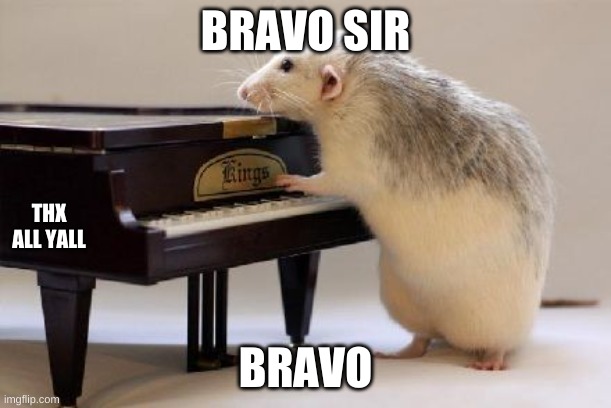 BRAVO SIR; THX ALL YALL; BRAVO | image tagged in piano | made w/ Imgflip meme maker