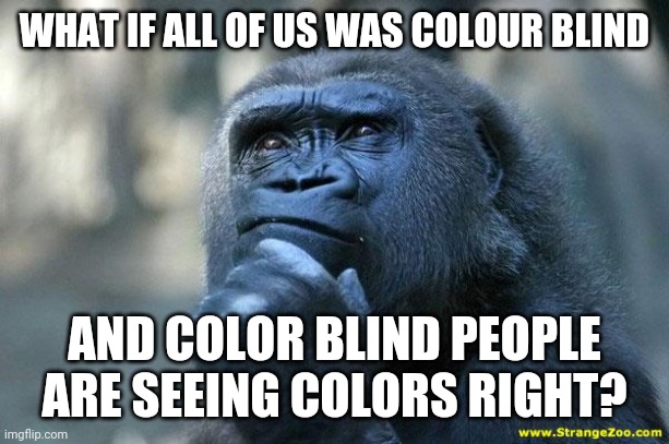 Deep Thoughts | WHAT IF ALL OF US WAS COLOUR BLIND; AND COLOR BLIND PEOPLE ARE SEEING COLORS RIGHT? | image tagged in deep thoughts | made w/ Imgflip meme maker