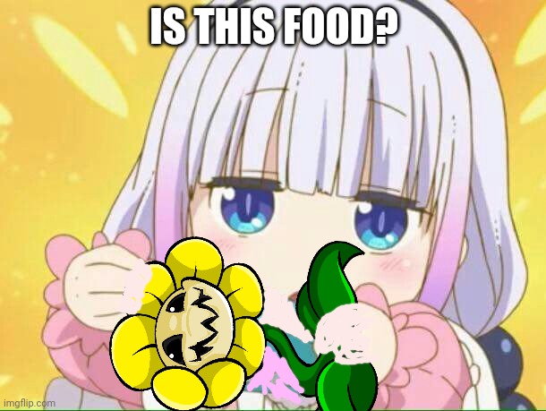 Kanna Kamui problems | IS THIS FOOD? | image tagged in kanna kamui,problems,dragon,anime girl,cuteness overload | made w/ Imgflip meme maker