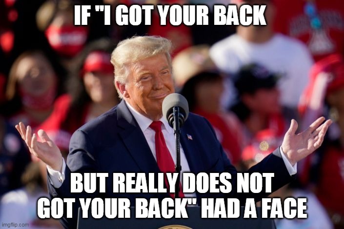 If "I got your back but really does Not got your back" had a face | IF "I GOT YOUR BACK; BUT REALLY DOES NOT GOT YOUR BACK" HAD A FACE | image tagged in donald trump,got your back,support,funny,us capital | made w/ Imgflip meme maker