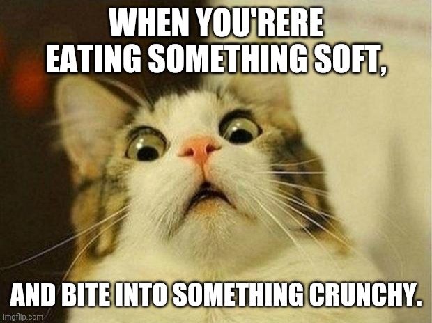 Scared Cat Meme | WHEN YOU'RERE EATING SOMETHING SOFT, AND BITE INTO SOMETHING CRUNCHY. | image tagged in memes,scared cat | made w/ Imgflip meme maker