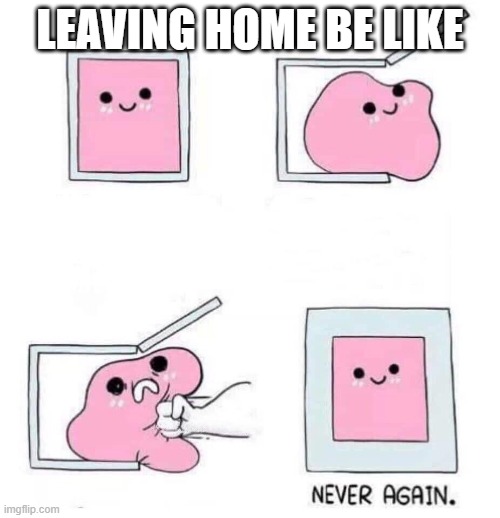 Never again | LEAVING HOME BE LIKE | image tagged in never again | made w/ Imgflip meme maker