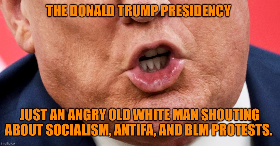 Not a pretty picture | THE DONALD TRUMP PRESIDENCY; JUST AN ANGRY OLD WHITE MAN SHOUTING ABOUT SOCIALISM, ANTIFA, AND BLM PROTESTS. | image tagged in donald trump,maga,joe biden,president,terrorism,trump supporters | made w/ Imgflip meme maker