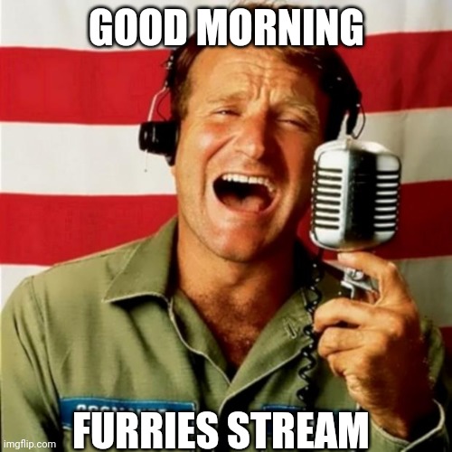 Why did I make this, what has my life come to? | GOOD MORNING; FURRIES STREAM | image tagged in good morning vietnam | made w/ Imgflip meme maker