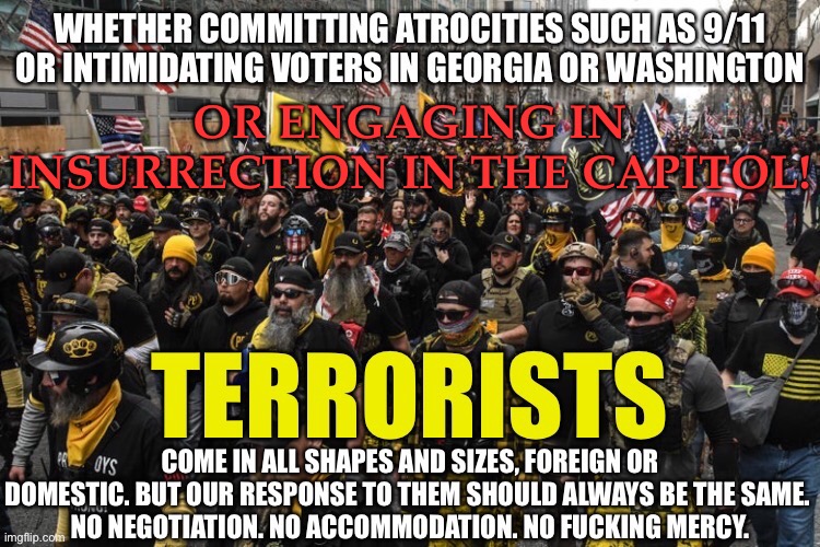Trump terrorists | OR ENGAGING IN INSURRECTION IN THE CAPITOL! | image tagged in donald trump,trump insurrection | made w/ Imgflip meme maker