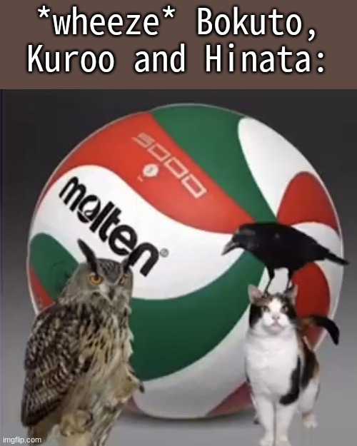 *wheeze* Bokuto, Kuroo and Hinata: | made w/ Imgflip meme maker