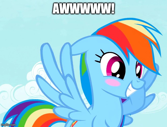 Amusy Blushed Rainbow Dash (MLP) | AWWWWW! | image tagged in amusy blushed rainbow dash mlp | made w/ Imgflip meme maker