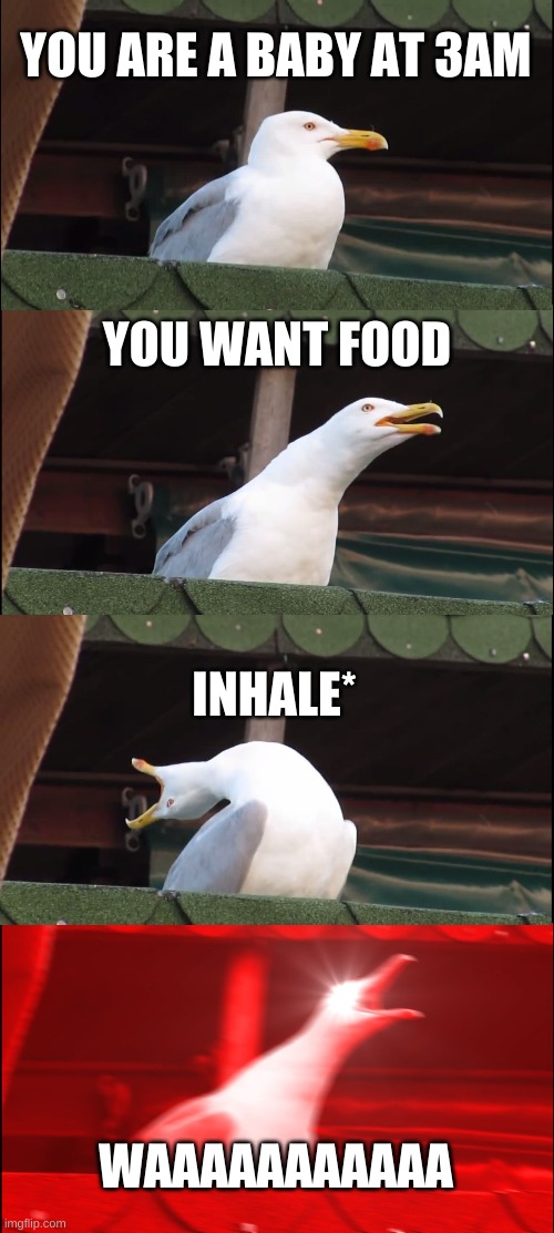 truth... Again. | YOU ARE A BABY AT 3AM; YOU WANT FOOD; INHALE*; WAAAAAAAAAAA | image tagged in memes,inhaling seagull | made w/ Imgflip meme maker