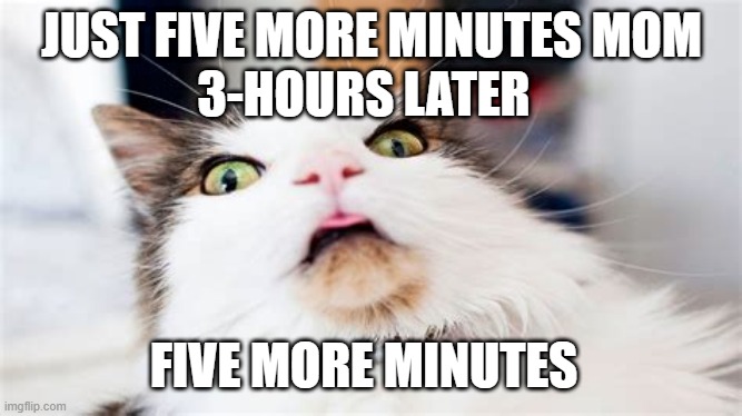 Kid Gamers Be Like | JUST FIVE MORE MINUTES MOM; 3-HOURS LATER; FIVE MORE MINUTES | image tagged in surprised cat,five more minutes | made w/ Imgflip meme maker