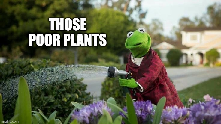 Kermit Plants | THOSE POOR PLANTS | image tagged in kermit plants | made w/ Imgflip meme maker