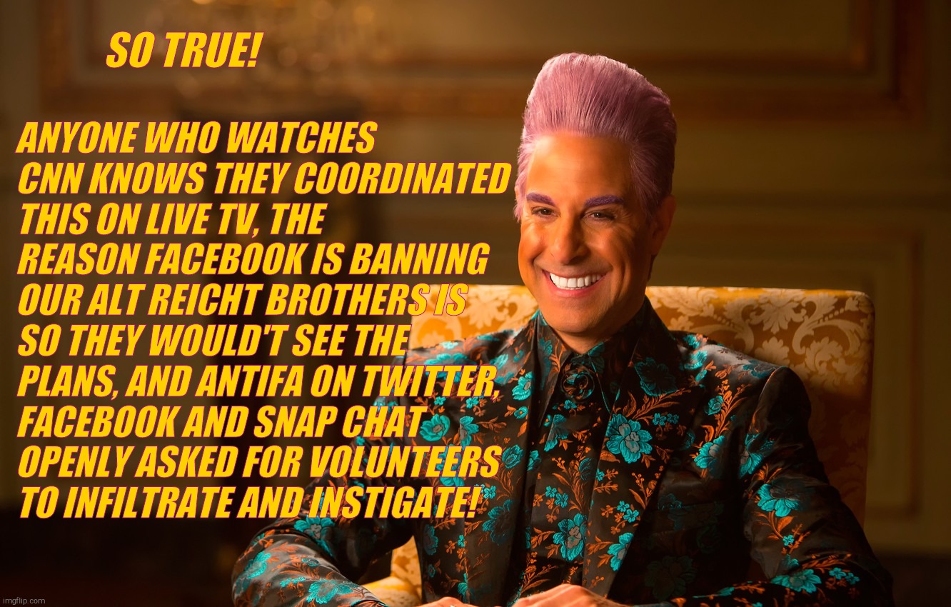 Caesar Flickerman (Stanley Tucci) | SO TRUE! ANYONE WHO WATCHES CNN KNOWS THEY COORDINATED THIS ON LIVE TV, THE REASON FACEBOOK IS BANNING OUR ALT REICHT BROTHERS IS SO THEY WO | image tagged in caesar flickerman stanley tucci | made w/ Imgflip meme maker