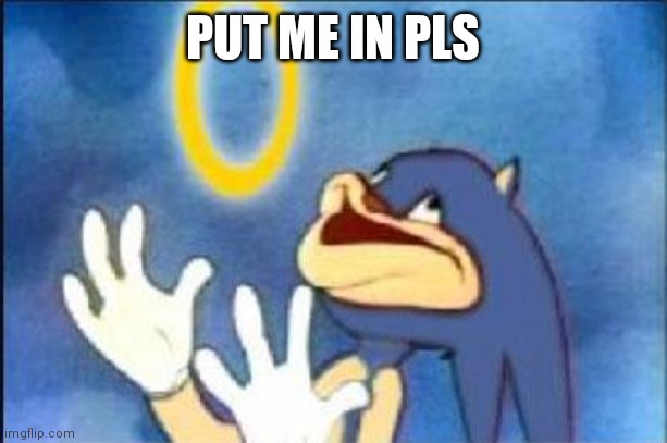 Sonic derp | PUT ME IN PLS | image tagged in sonic derp | made w/ Imgflip meme maker