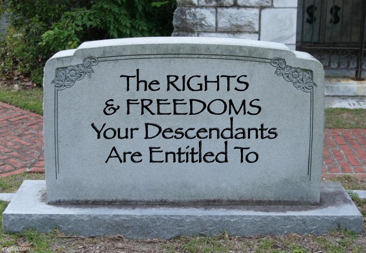 Gravestone | The RIGHTS & FREEDOMS 
Your Descendants Are Entitled To | image tagged in gravestone | made w/ Imgflip meme maker