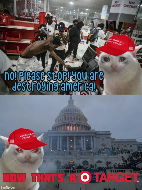 Whataboutism so bad you may get whiplash. | image tagged in maga,capitol riots,insurrection,funny cats,original meme | made w/ Imgflip meme maker
