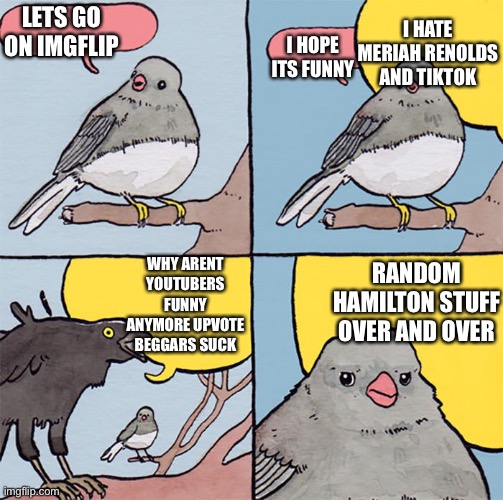 Now i have nothing against hamilton but there is hardly any funny stuff anymore | I HATE MERIAH RENOLDS AND TIKTOK; I HOPE ITS FUNNY; LETS GO ON IMGFLIP; WHY ARENT YOUTUBERS FUNNY ANYMORE UPVOTE BEGGARS SUCK; RANDOM HAMILTON STUFF OVER AND OVER | image tagged in interrupting bird | made w/ Imgflip meme maker