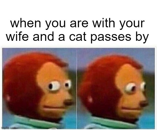 Monkey Puppet Meme | when you are with your wife and a cat passes by | image tagged in memes,monkey puppet | made w/ Imgflip meme maker