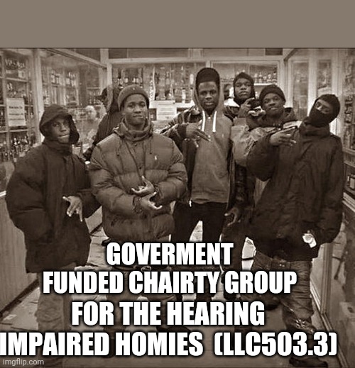 All My Homies Hate |  GOVERMENT FUNDED CHAIRTY GROUP; FOR THE HEARING IMPAIRED HOMIES  (LLC503.3) | image tagged in all my homies hate | made w/ Imgflip meme maker