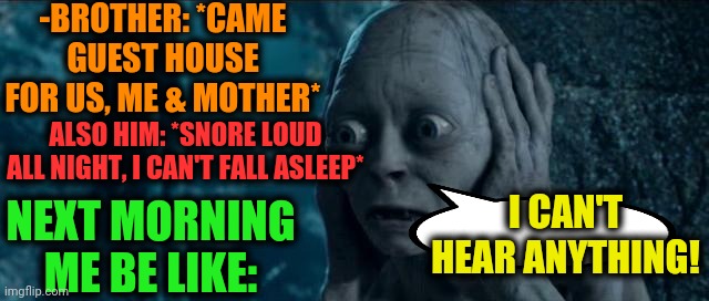-Definitely the deaf. | -BROTHER: *CAME GUEST HOUSE FOR US, ME & MOTHER*; ALSO HIM: *SNORE LOUD ALL NIGHT, I CAN'T FALL ASLEEP*; I CAN'T HEAR ANYTHING! NEXT MORNING ME BE LIKE: | image tagged in i can't hear you,gollum schizophrenia,snoring,up all night,mother's day,big brother | made w/ Imgflip meme maker