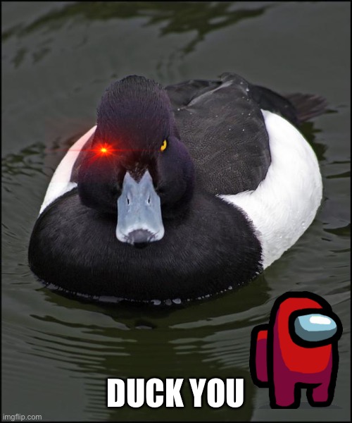 Ducking Ducker | DUCK YOU | image tagged in angry duck | made w/ Imgflip meme maker